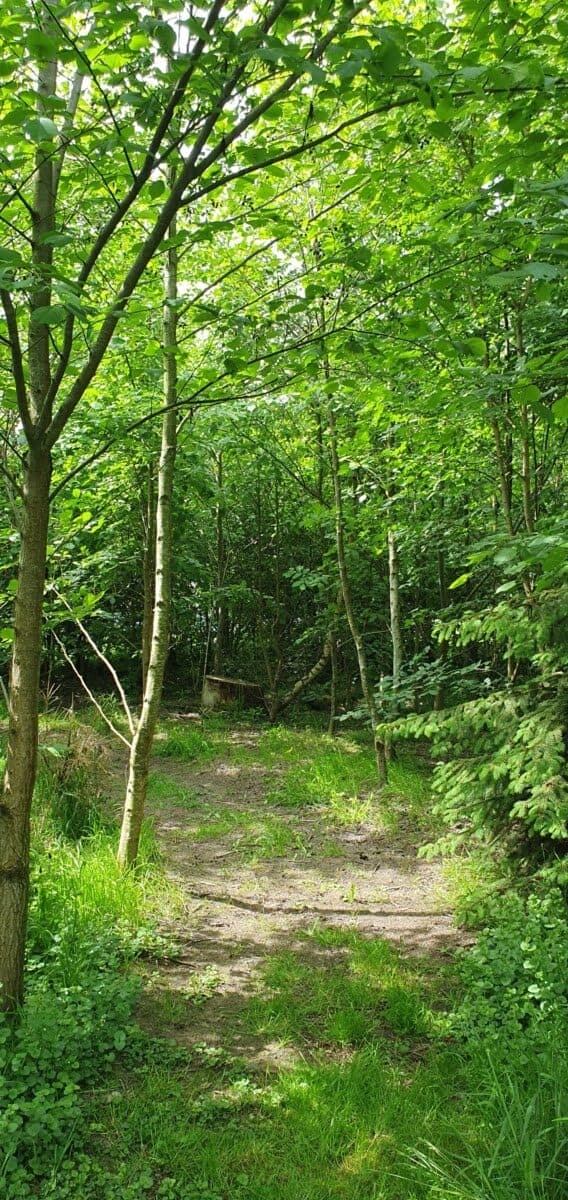 Natuurwerkdagen op De Hommelhoeve